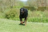 BEAUCERON 861